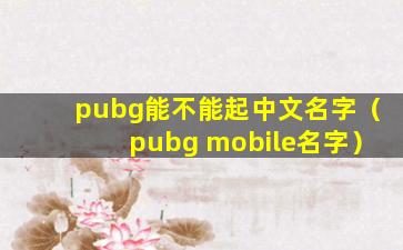 pubg能不能起中文名字（pubg mobile名字）